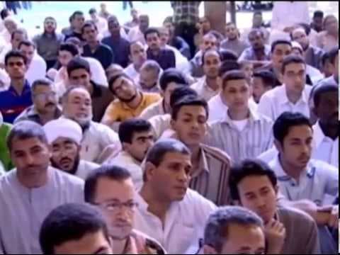 سورة البقرة | حـ 42 | آية 14 : 15 | تفسير القرآن الكريم | أ.د علي جمعة - تفسير, سورة البقرة